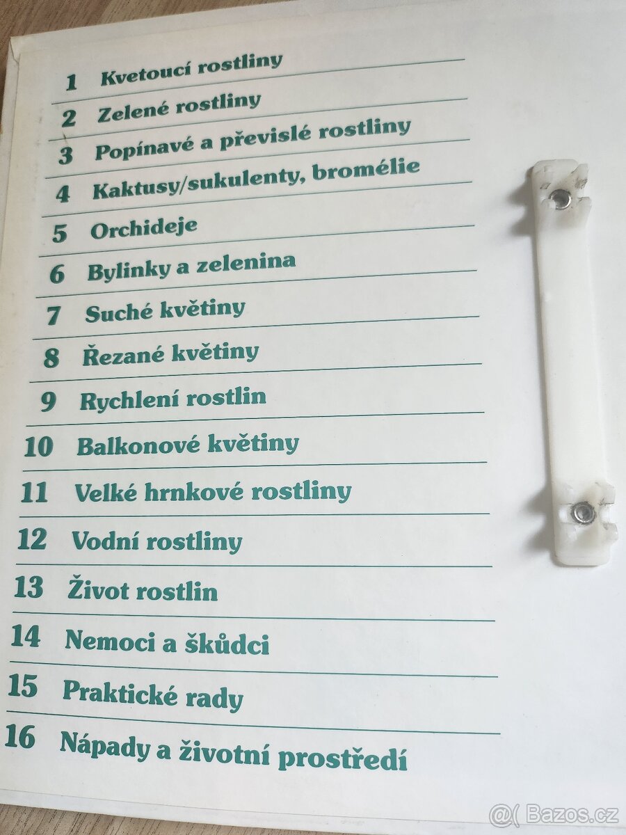Pokojové rostliny - 2
