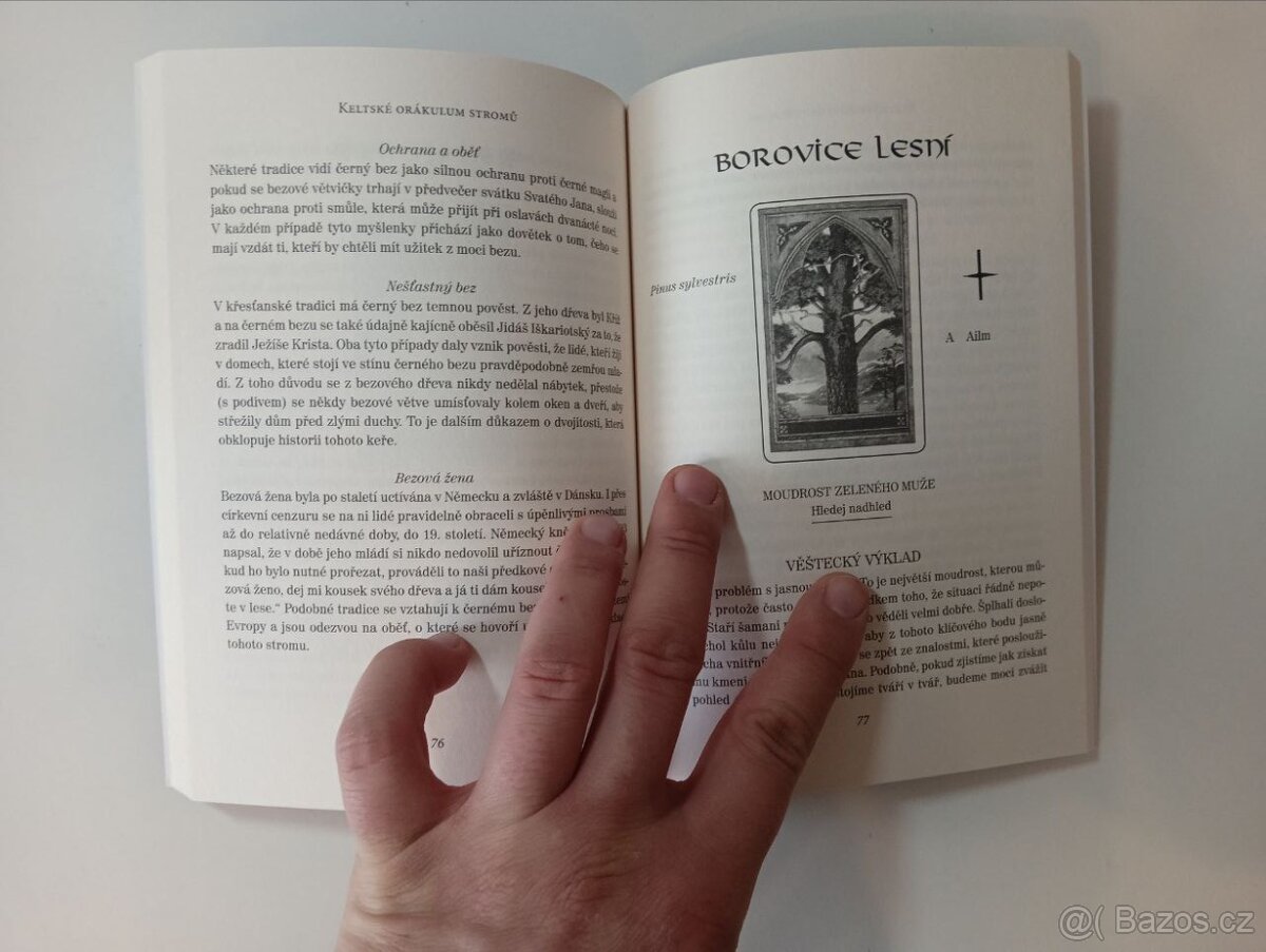 Keltské orákulum stromů - 2