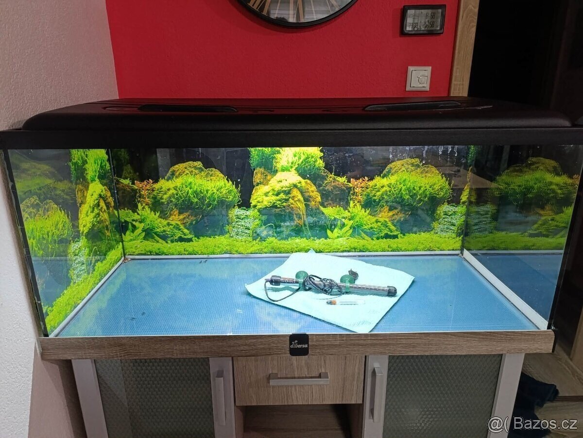Akvárium Diversa 300L - 2