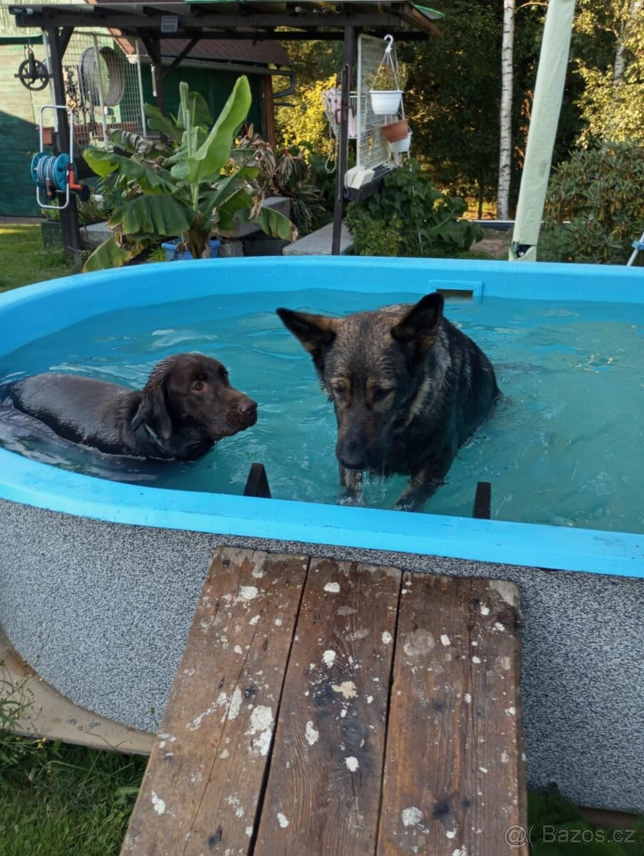 Bazén pro děti a psi - 2