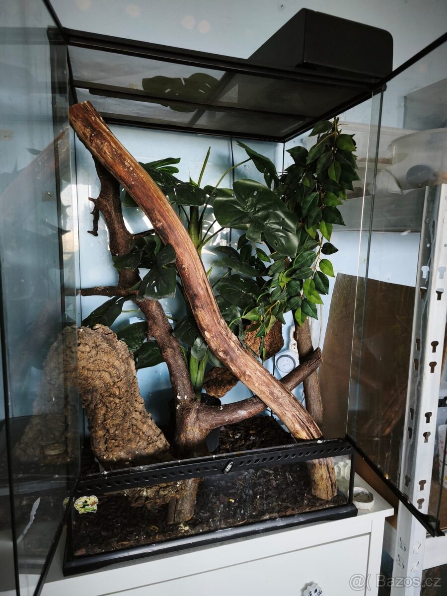 Prodám Terárium - 2
