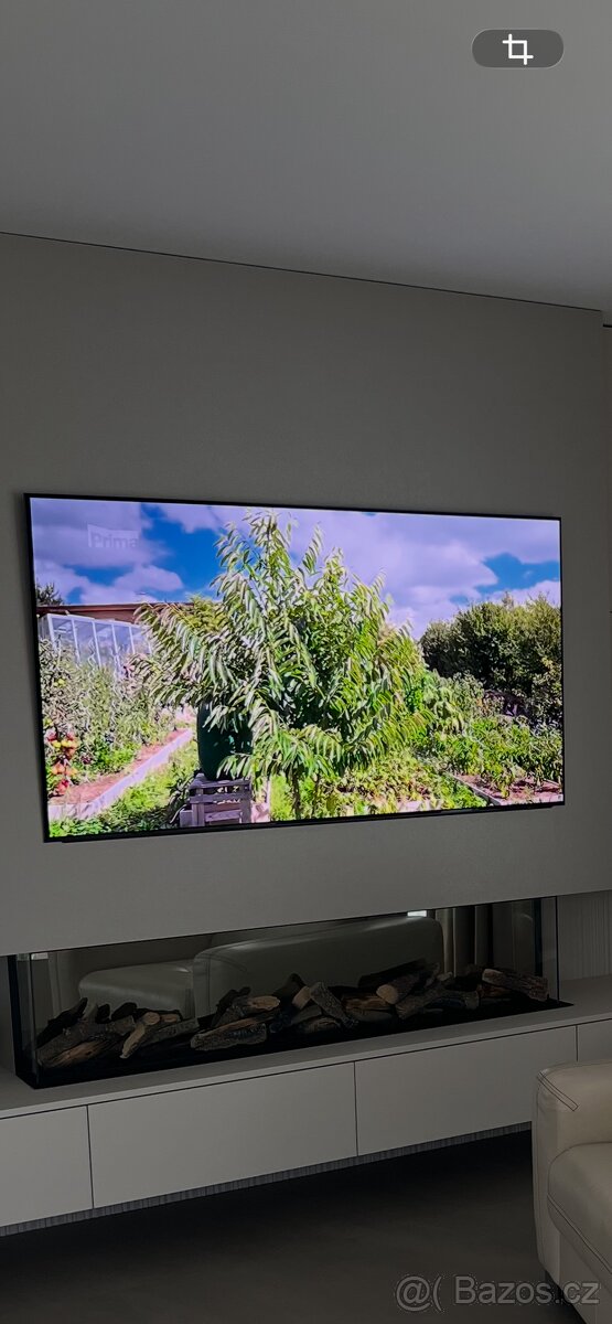 Televize SAMSUNG OLED QE65S90D - 2