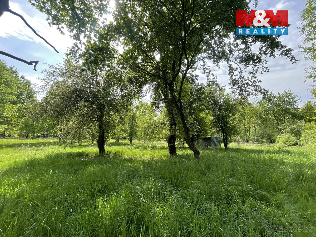 Prodej zahrady, 1999 m², Jeníkov - 2