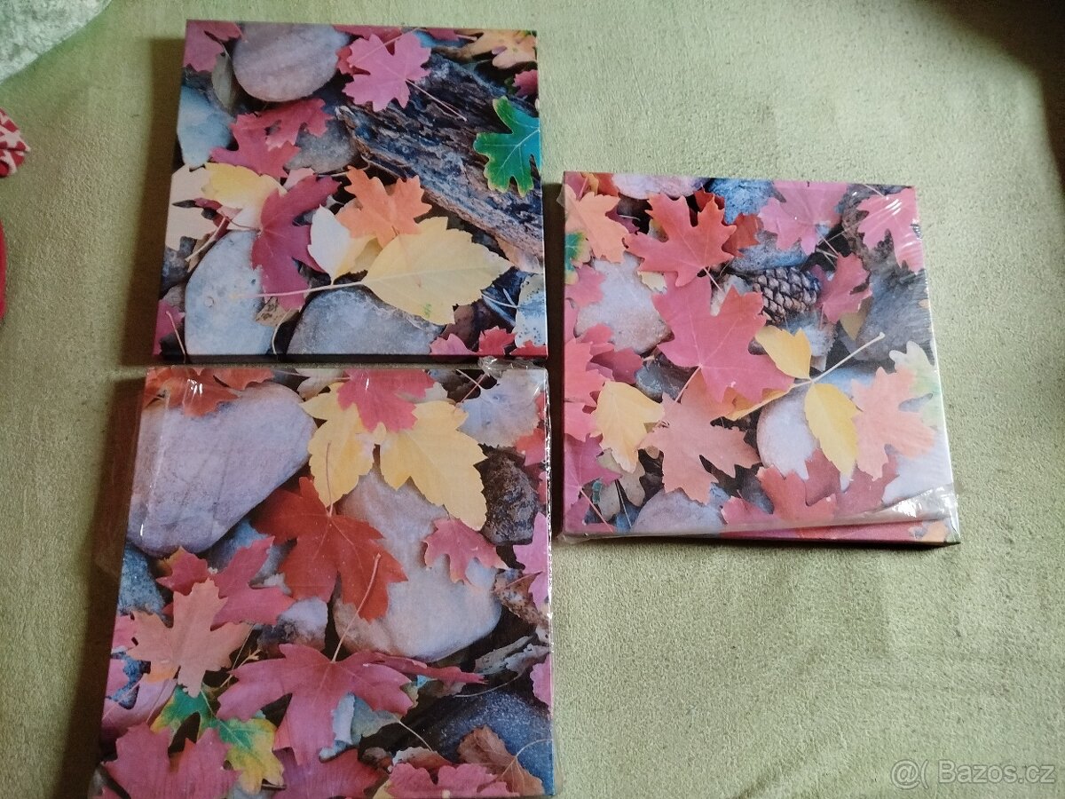 Obraz obrazy mix - 2