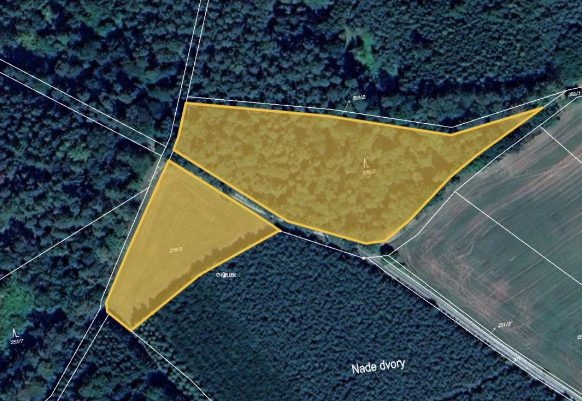 Prodej podílu 3/8 lesa 7 381 m², Hrazany - 2