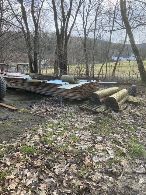 smrkové hranoly - 2