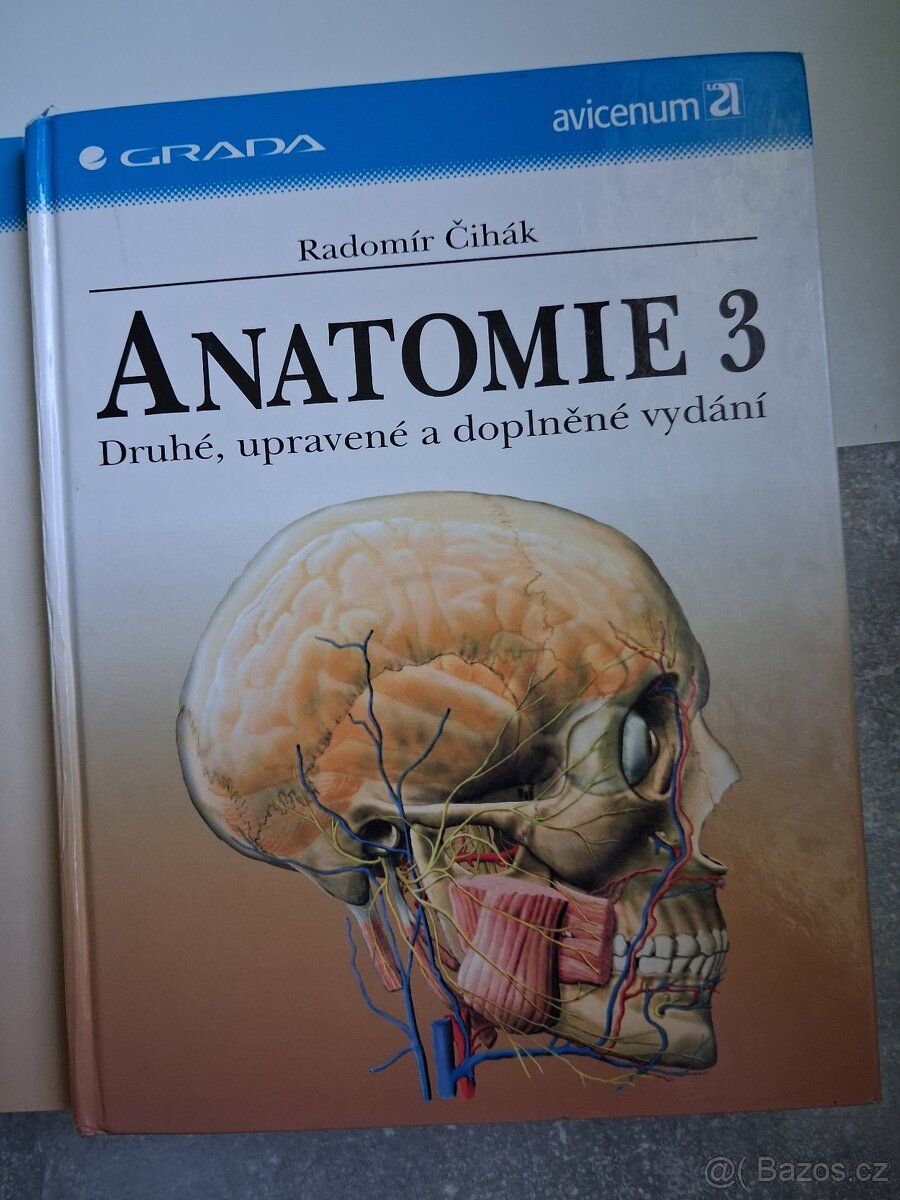 Anatomie - 2