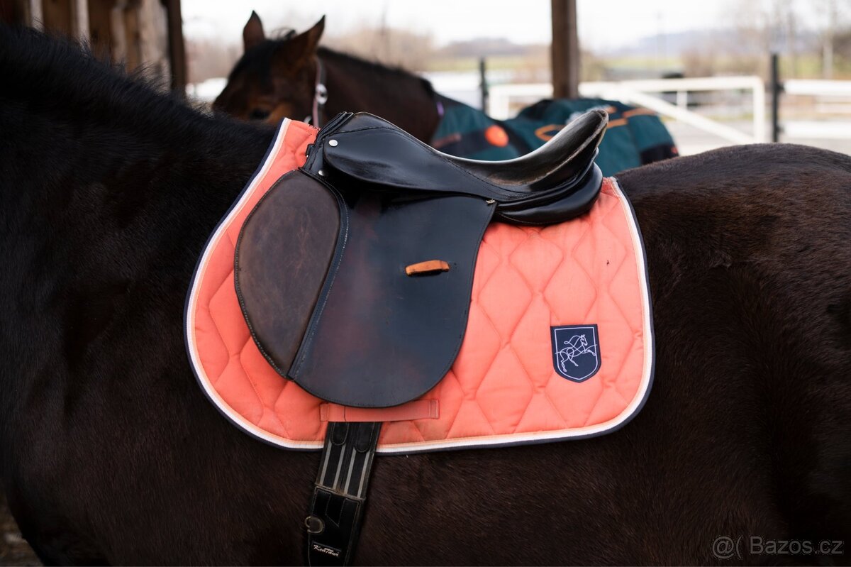 Sedlo na širšího koně - 2