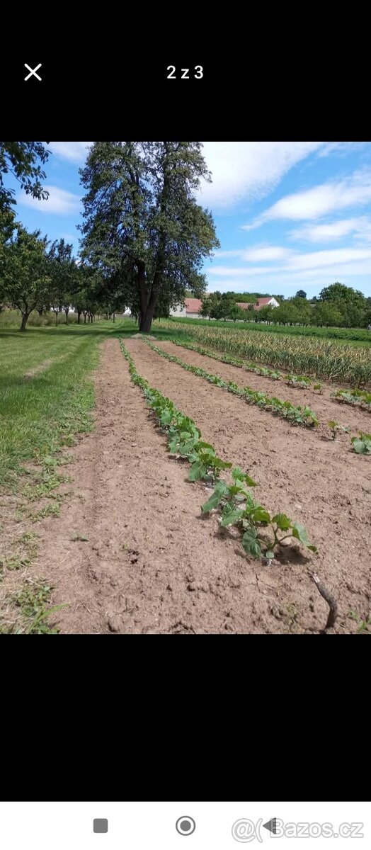 Prodám pozemek 495 m2 - 2