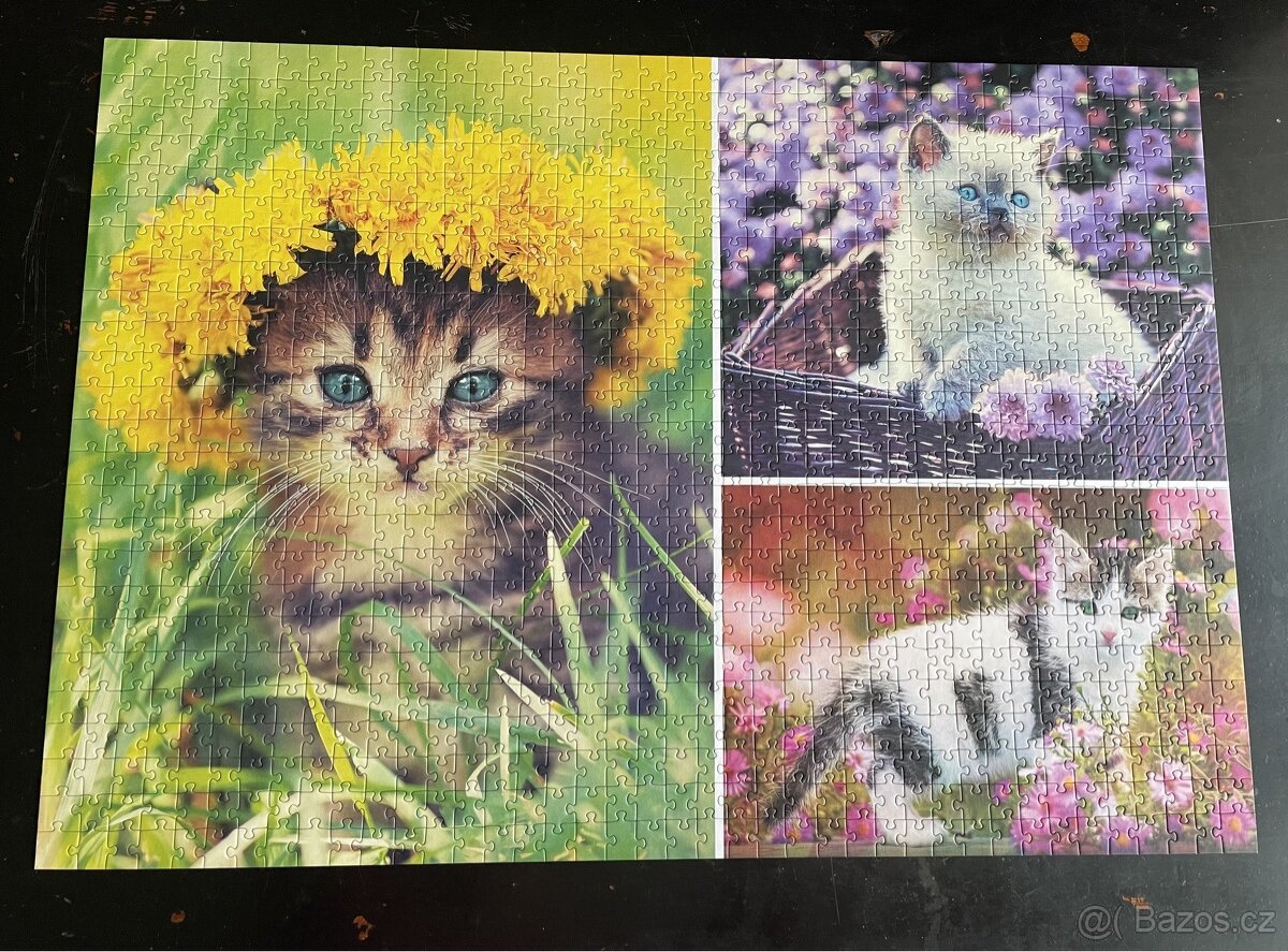 Puzzle Eko Trefl 1000 - 2