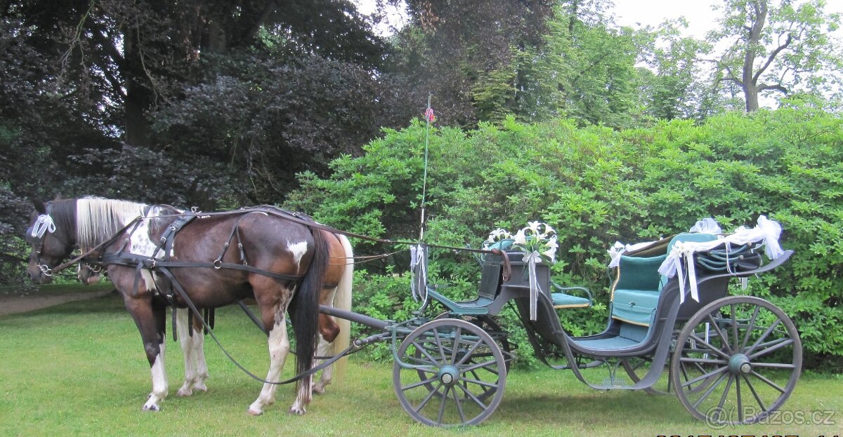 KOČÁR ZA KONĚ - 2