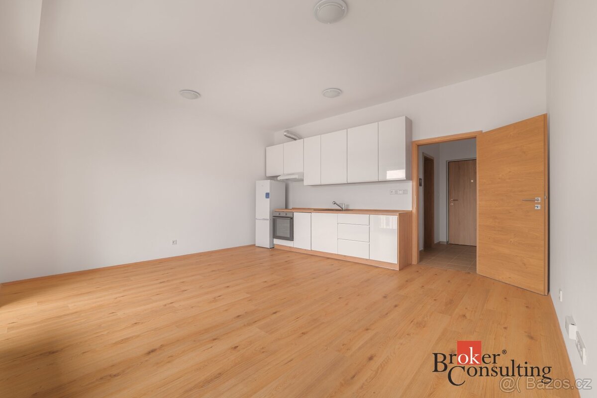 1+kk Apartment in Plzeň, Na Jánské – pohled 2