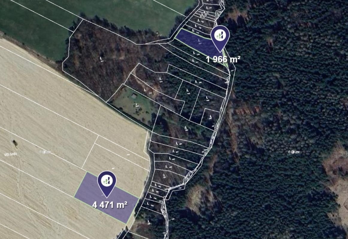 Prodej podílu 1/12 pole 1 596 m², Němčice - 2