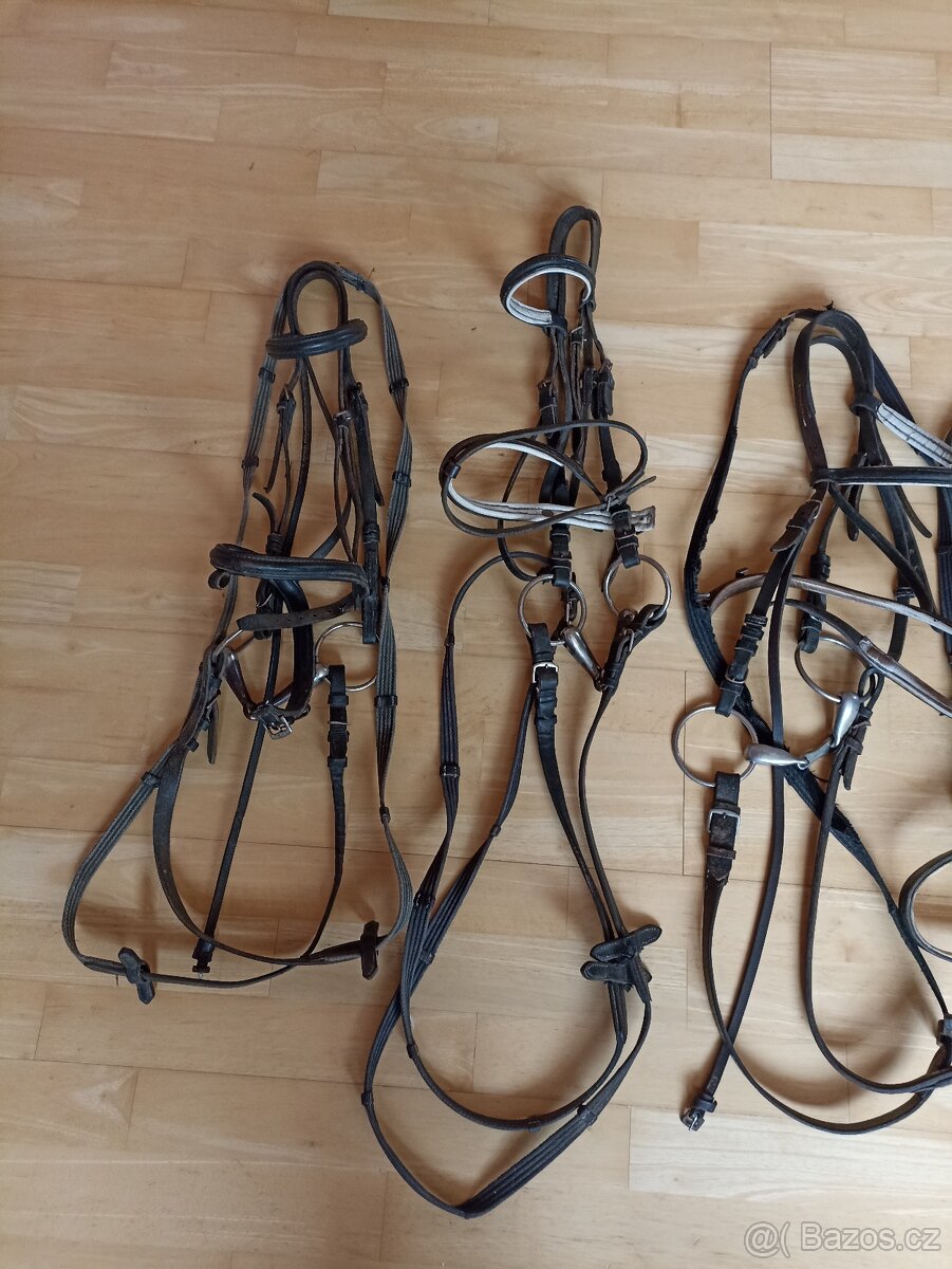 Uzdečky starší cob a full - 2