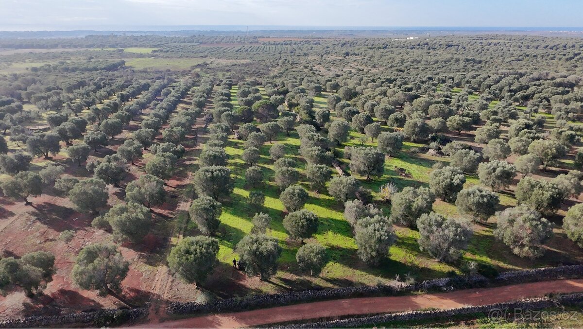 Pozemek u moře na jihu Itálie - 2