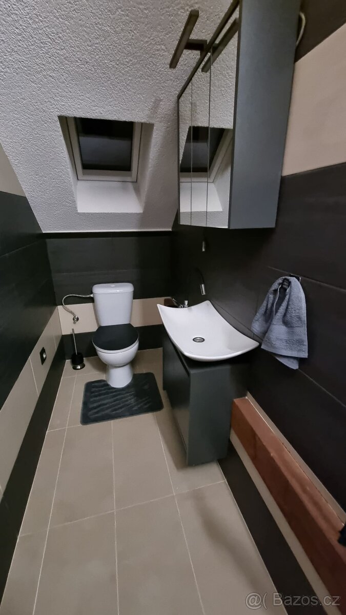 Pronájem bytu 1+kk+ zahrada, 40 m², Plzeň, Slovany - Widok 2