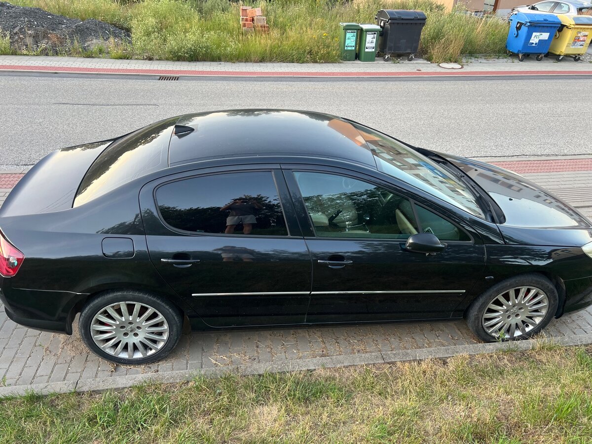 Peugeot 407 Sedan - 2