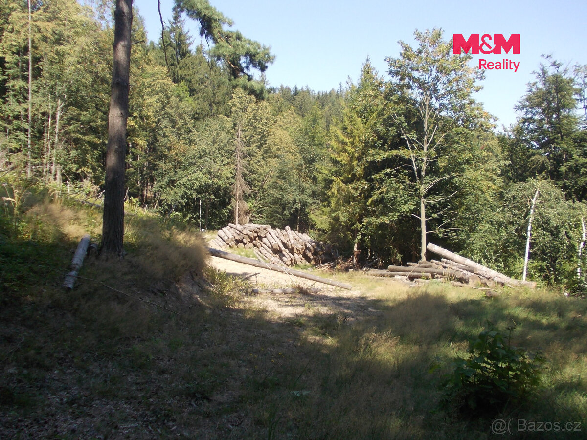 Prodej chaty, 36 m², Pstruží - 2