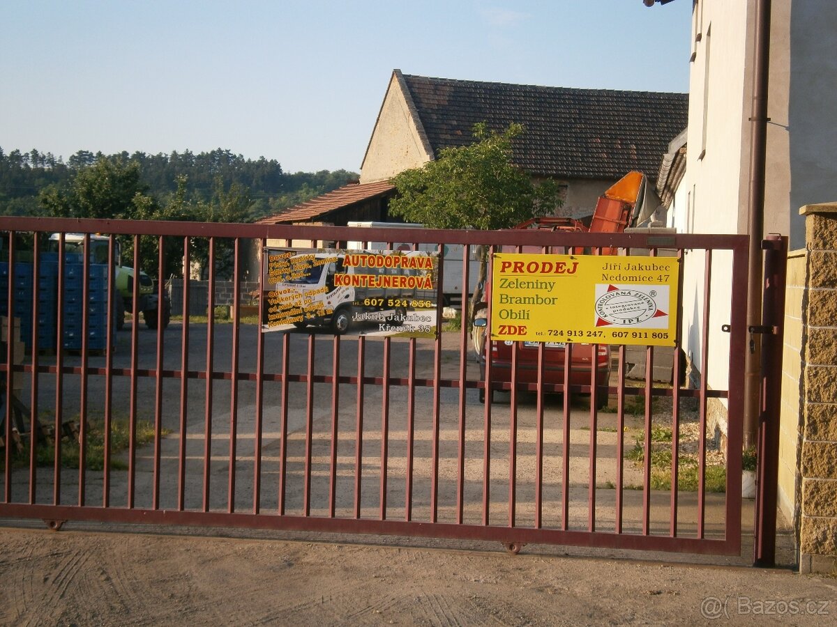 krmné brambory - 2