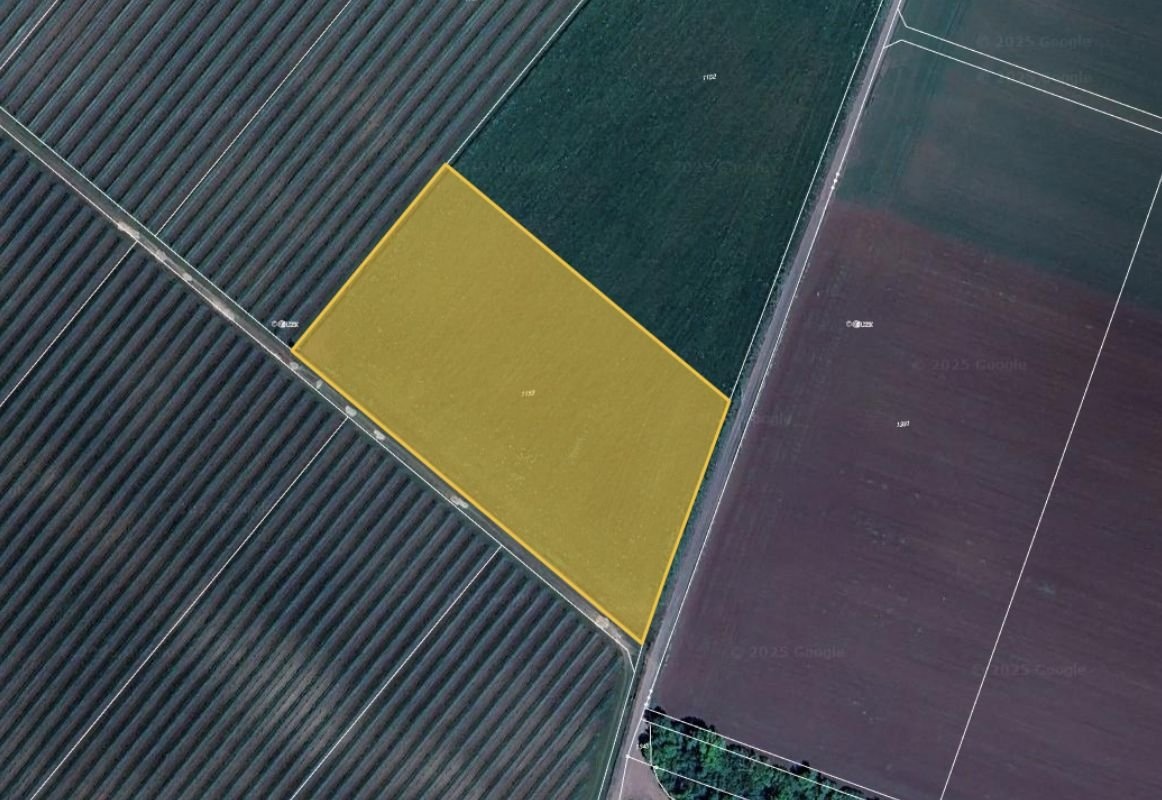 Prodej podílu 3/64 pole 3 547 m², Borotice - 2