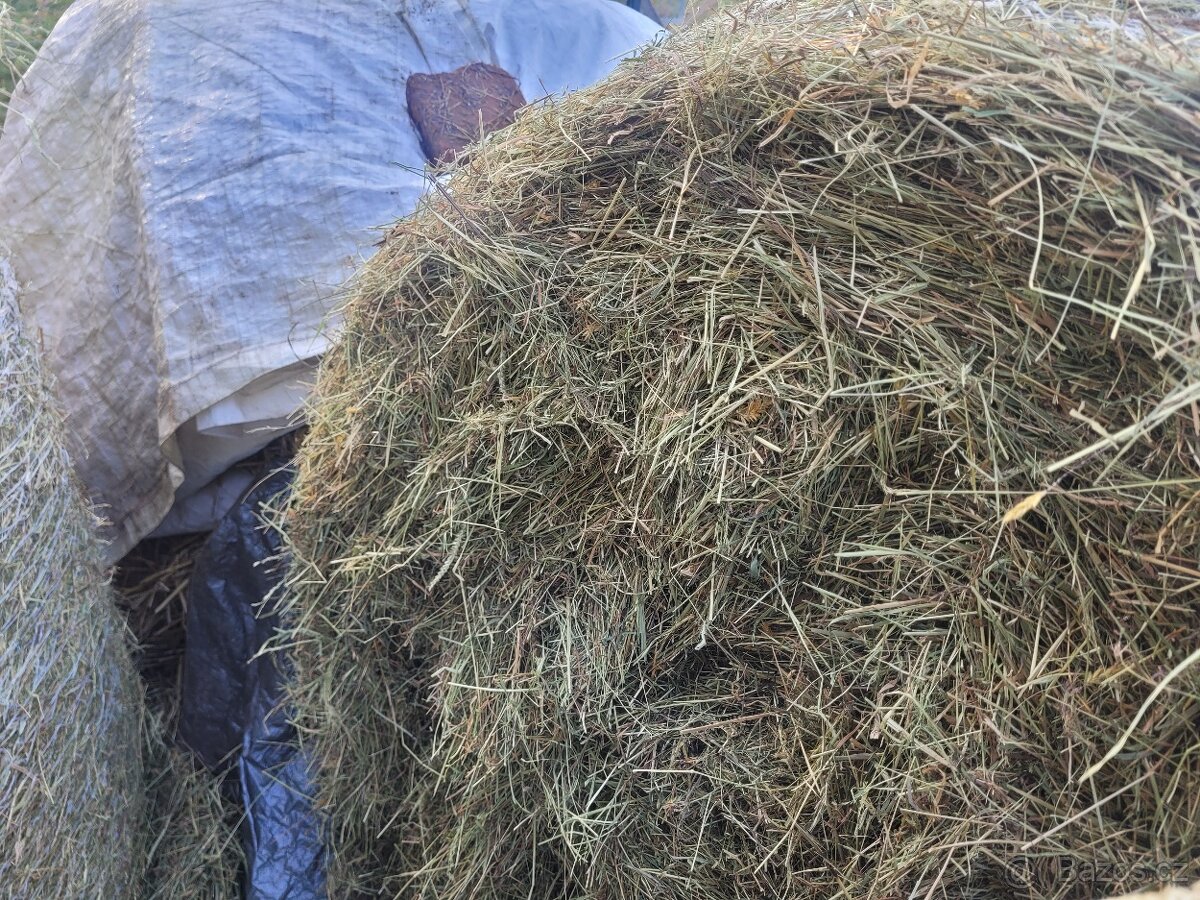 Seno kulaté balíky ze Šumavy - 2