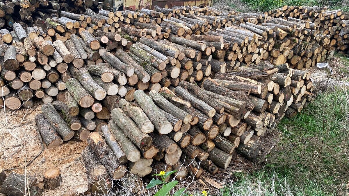 Palivové dřevo za seriózní ceny tvrdé suché - 2