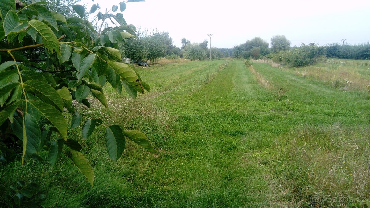 Prodám - pronajmu pozemek 4 800m2 - 2