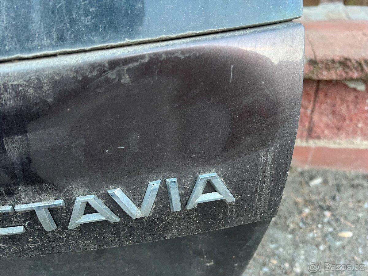 Kurové dveře Octavia 3 - 2