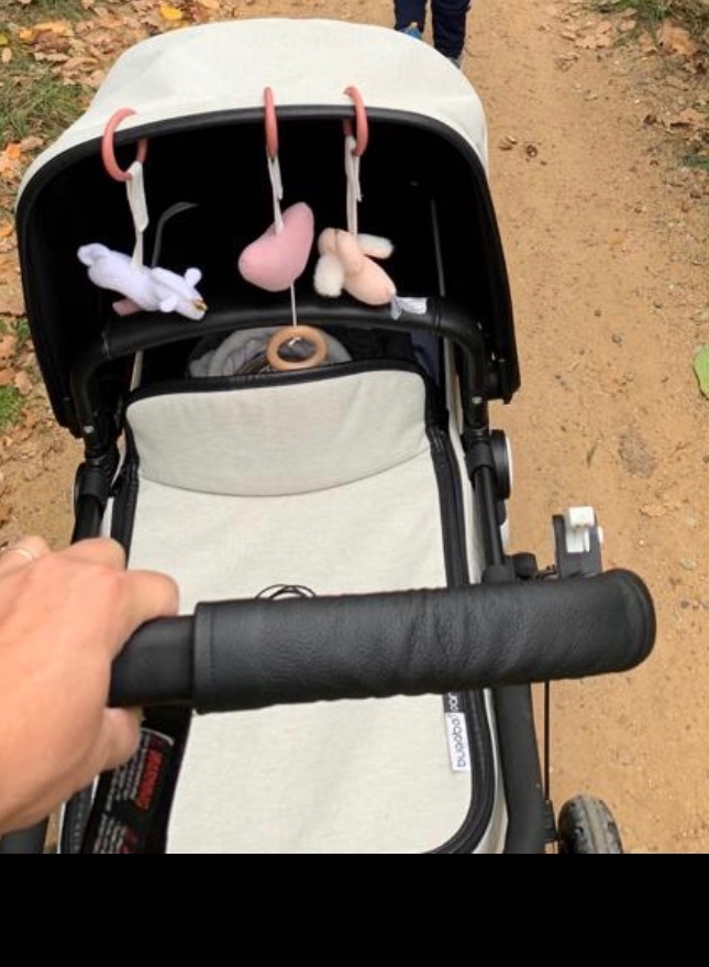 Kočárek Cameleon - 2