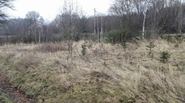 Nabízím k prodeji atraktivní pozemky, KÚ Služátky - 2