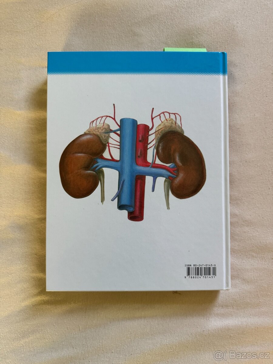 ANATOMIE 2 (2.vydání) - Radomír Čihák - 2
