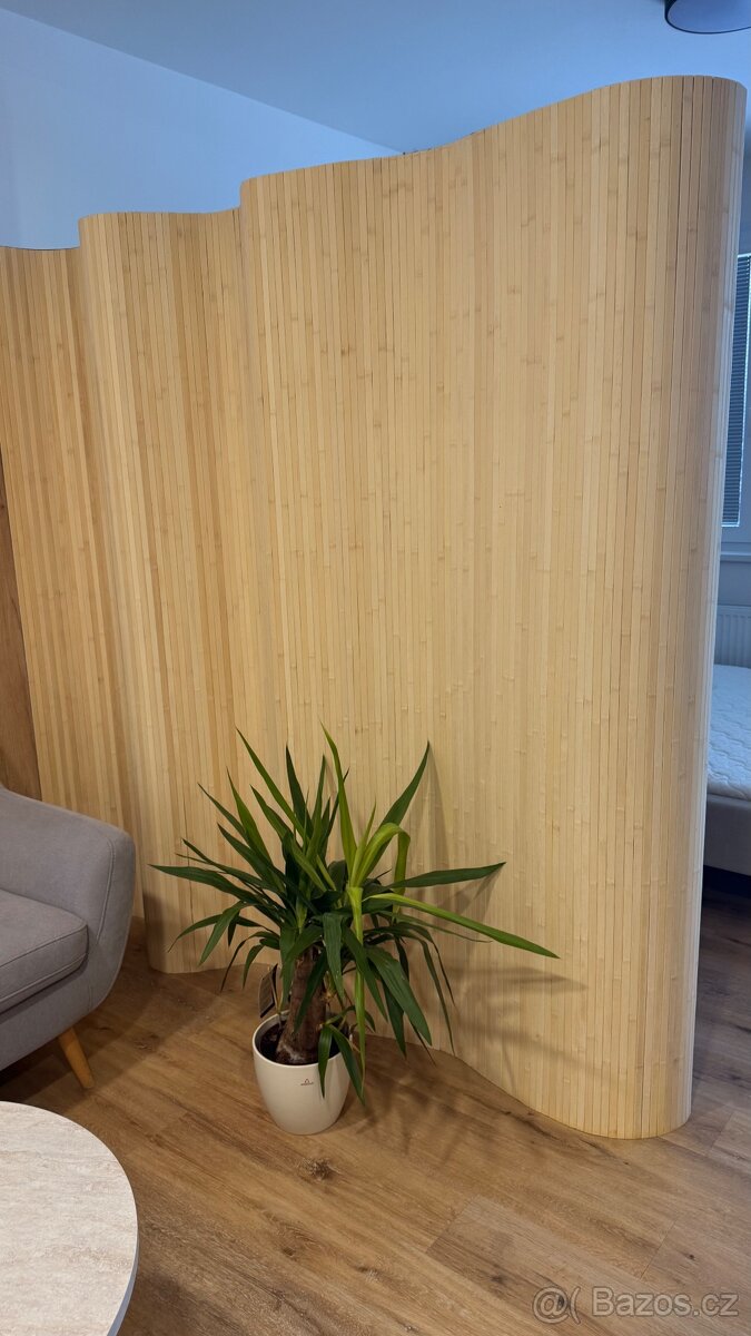 Bambusový paravan - 2