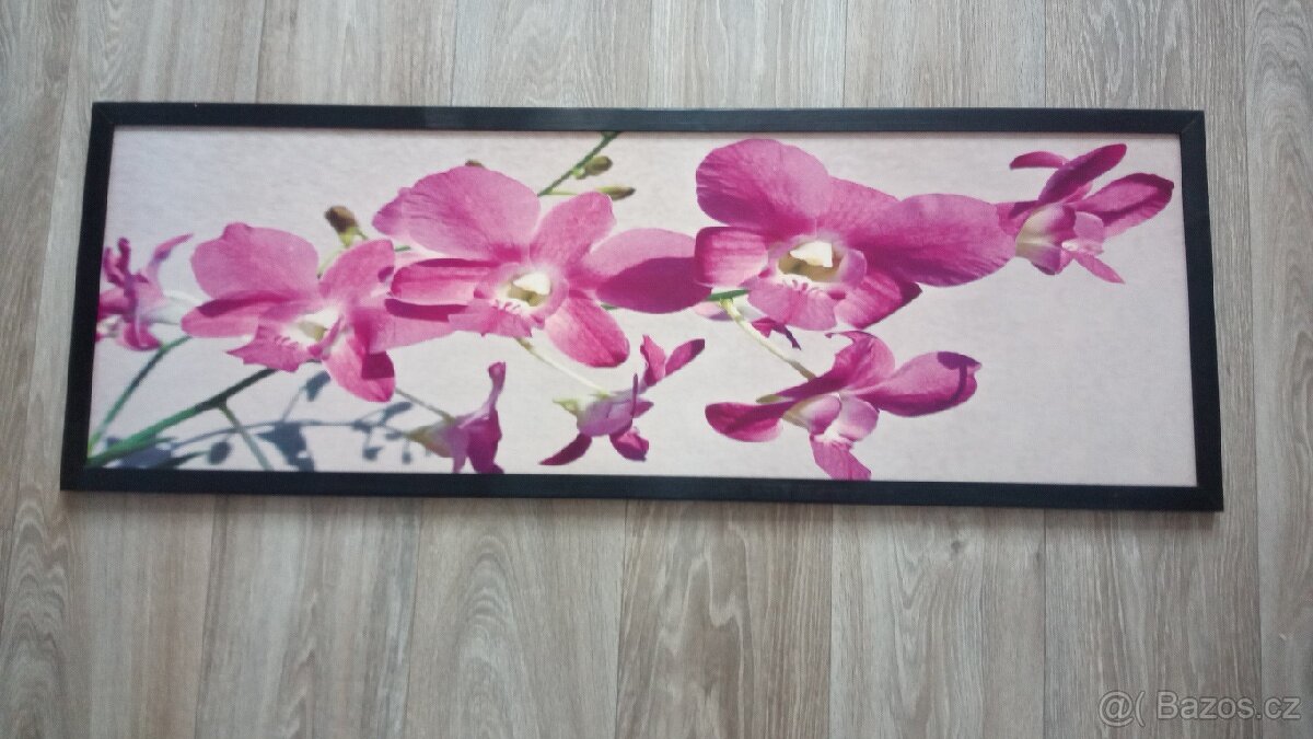 Prodám obraz - 2