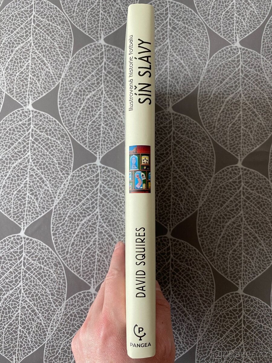 Nová kniha Ilustrovaná historie fotbalu: Síň slávy - 2