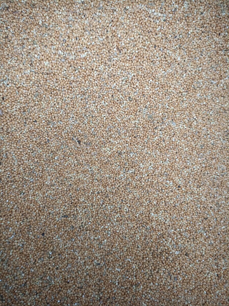 Proso žluté ( možnost DOPRAVY) - 2