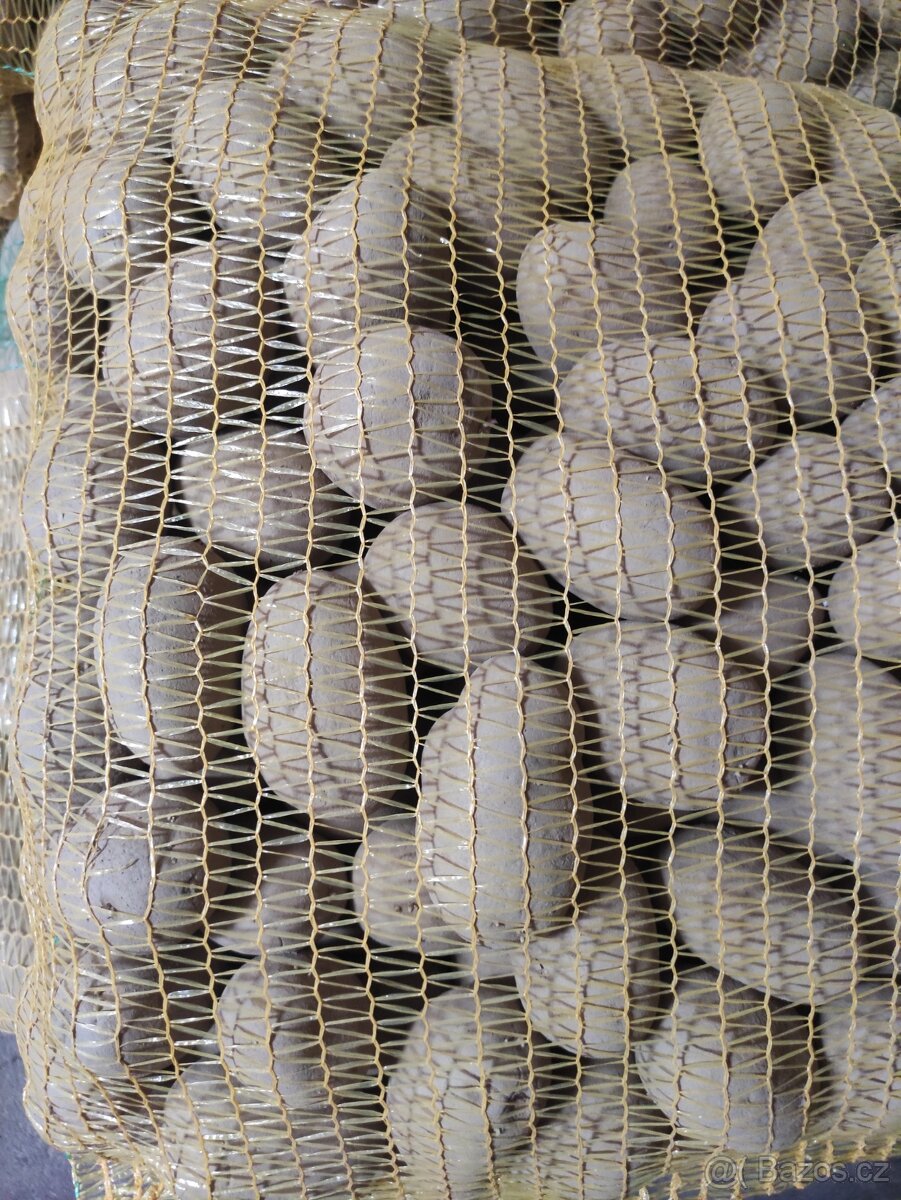 Sadbové brambory - 2