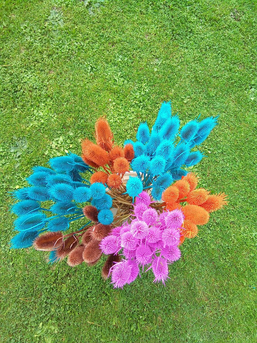 Bodláky - limitovaná edice - speciální barvy - 2