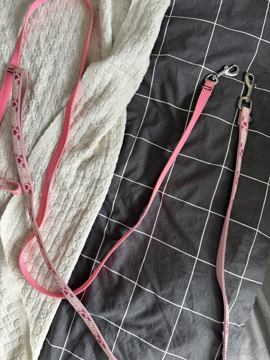 Vodítka pro psy - 2