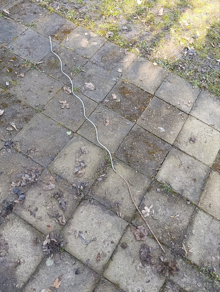 Tyče k rajčatum a jiné zelenině. - 2