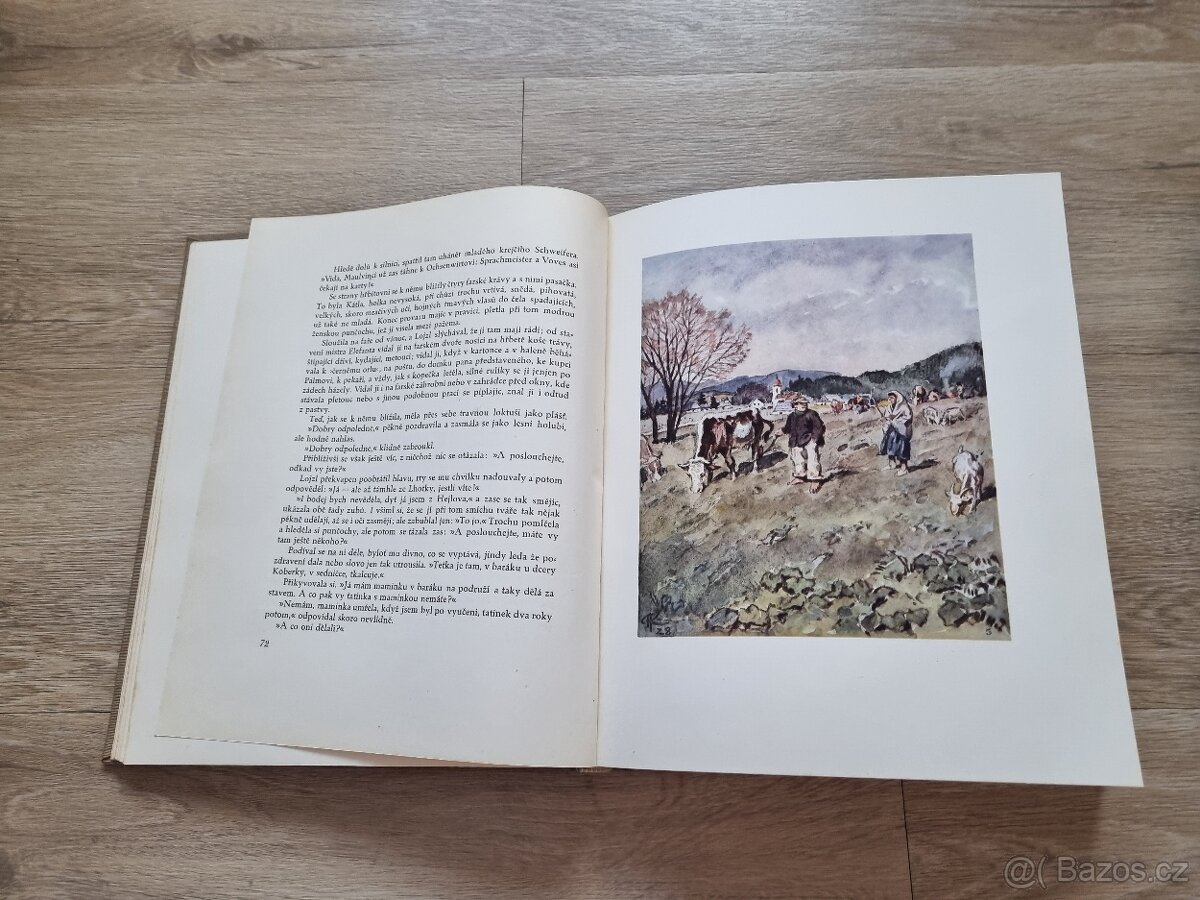 K. V. Rais: O ztraceném ševci - 2