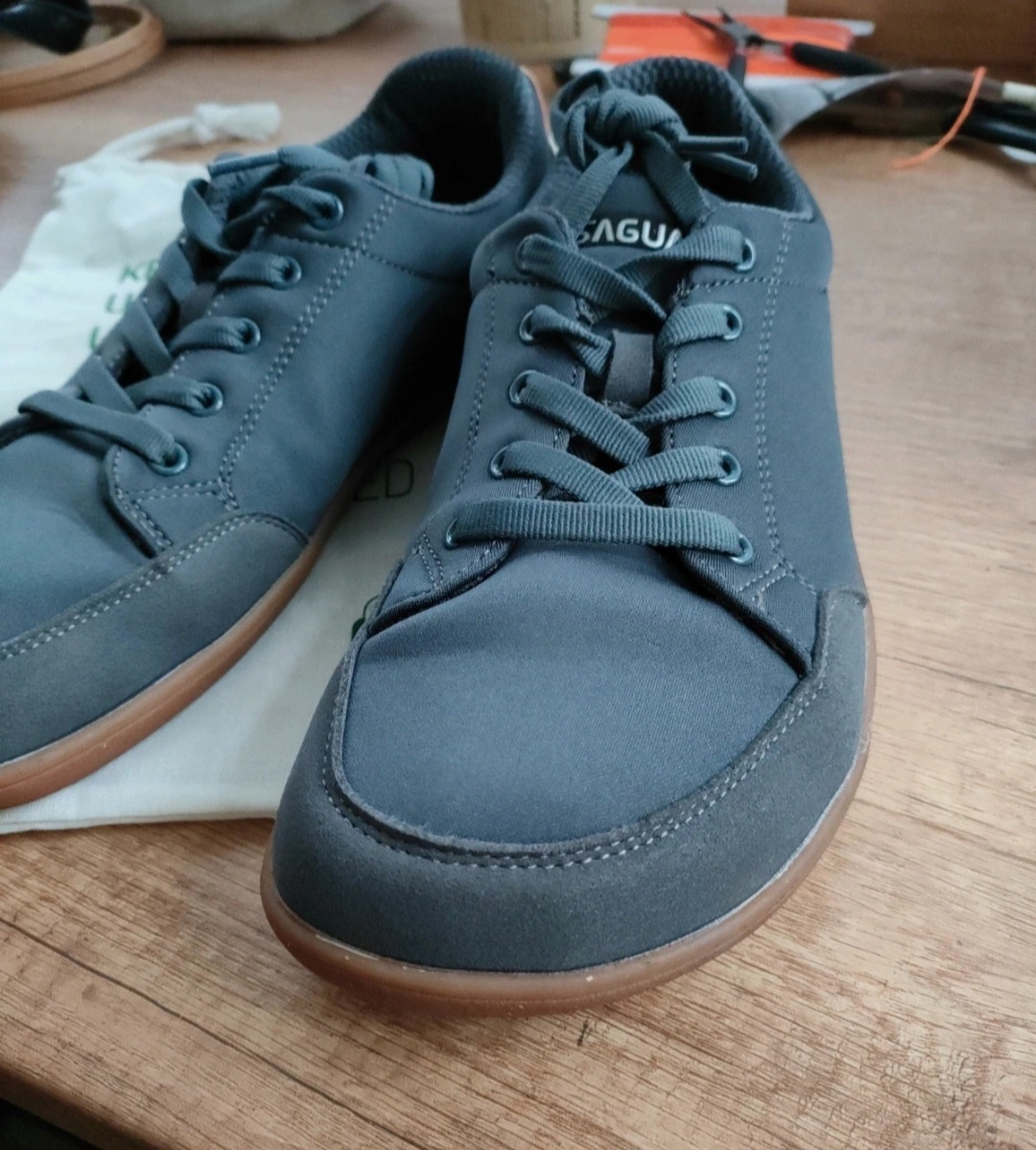 Barefoot Saguaro Stellar II - 2