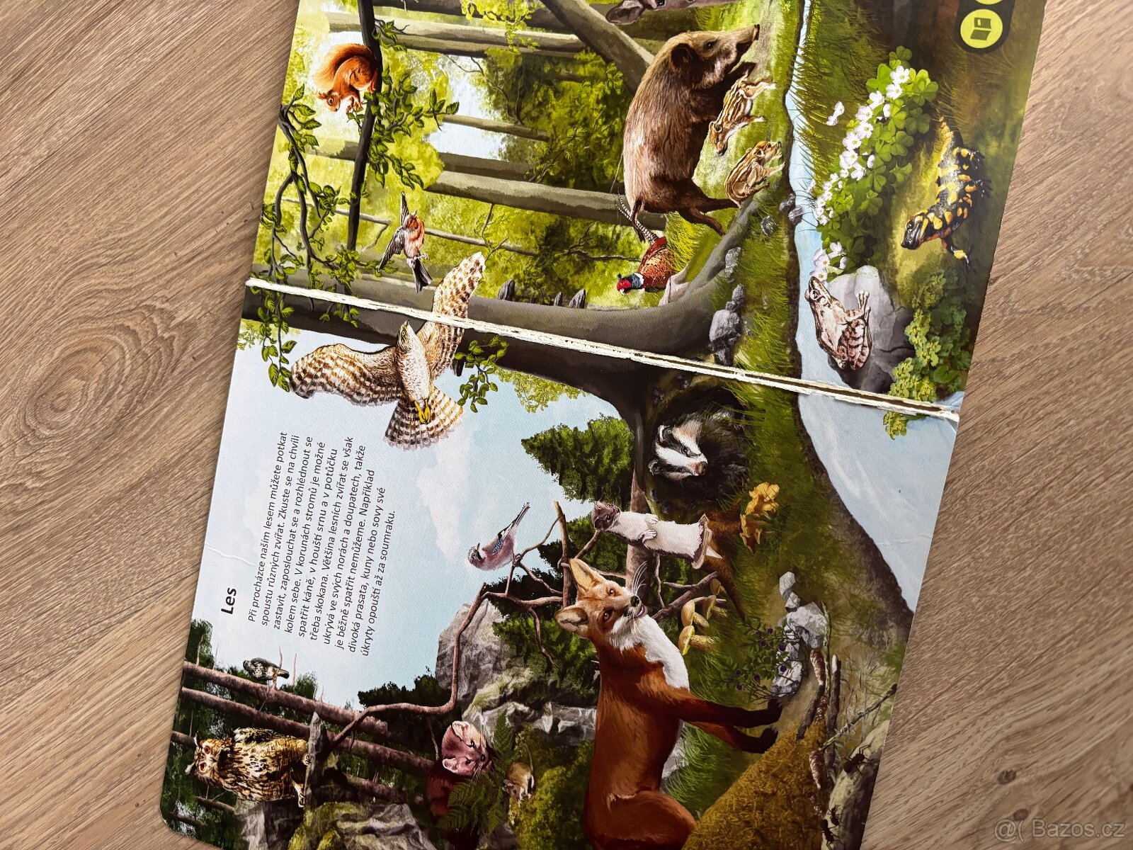 Kouzelne cteni Albi - 2