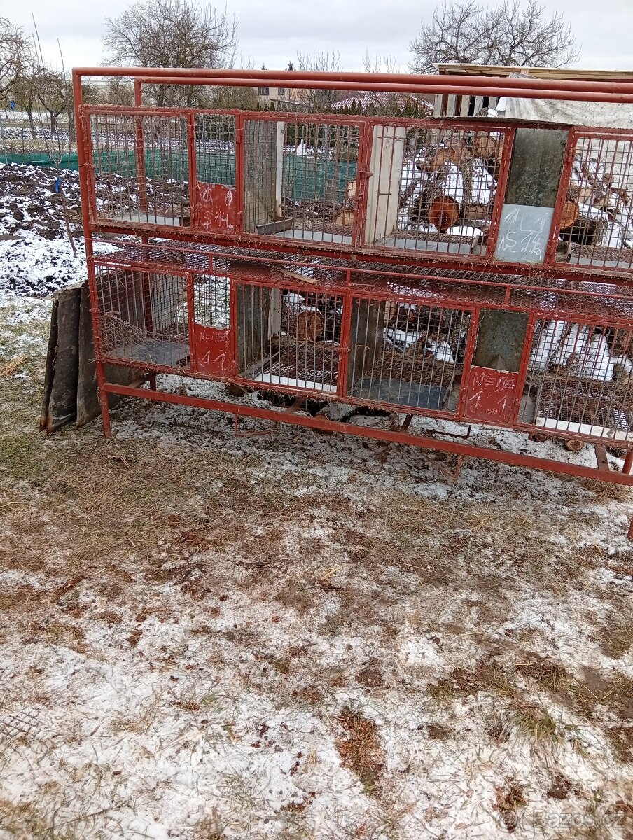 8 mi kotcova kralikarna - 2