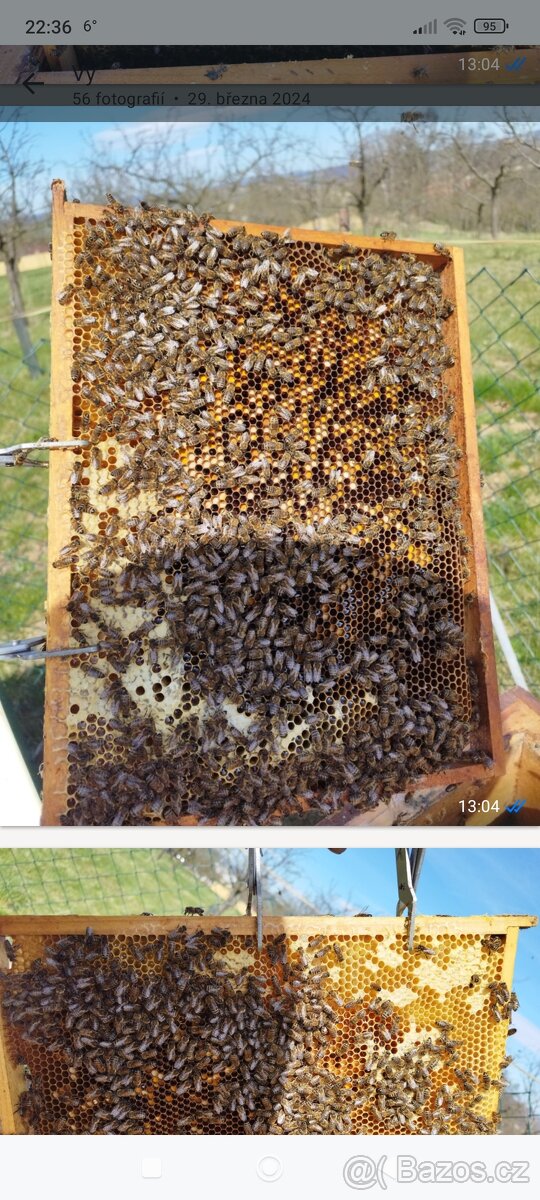 Včelí oddělky - 2