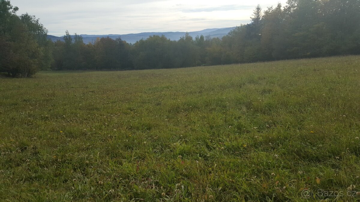 Prodám louku 5800m2 - 2