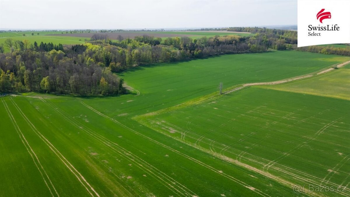 Prodej pole 18365 m² Vysoké Mýto – pohled 2