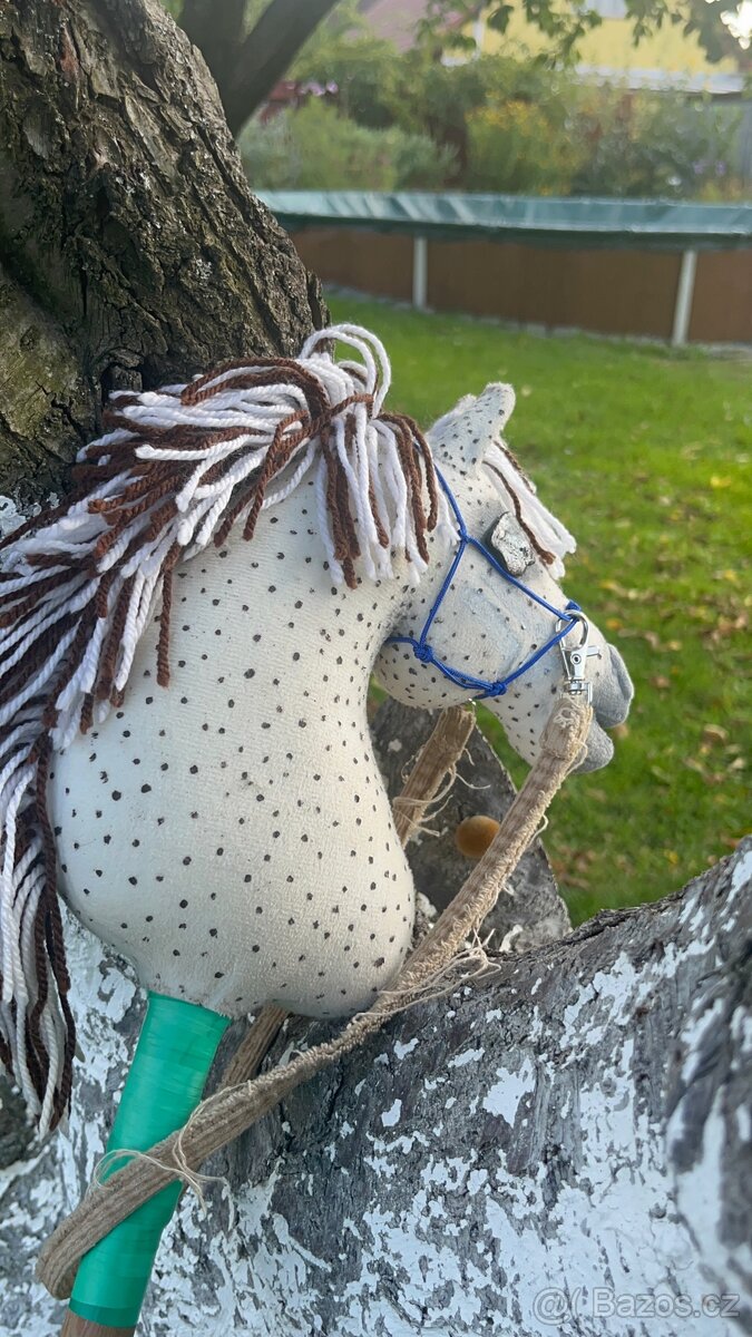 Hobby horse - 2