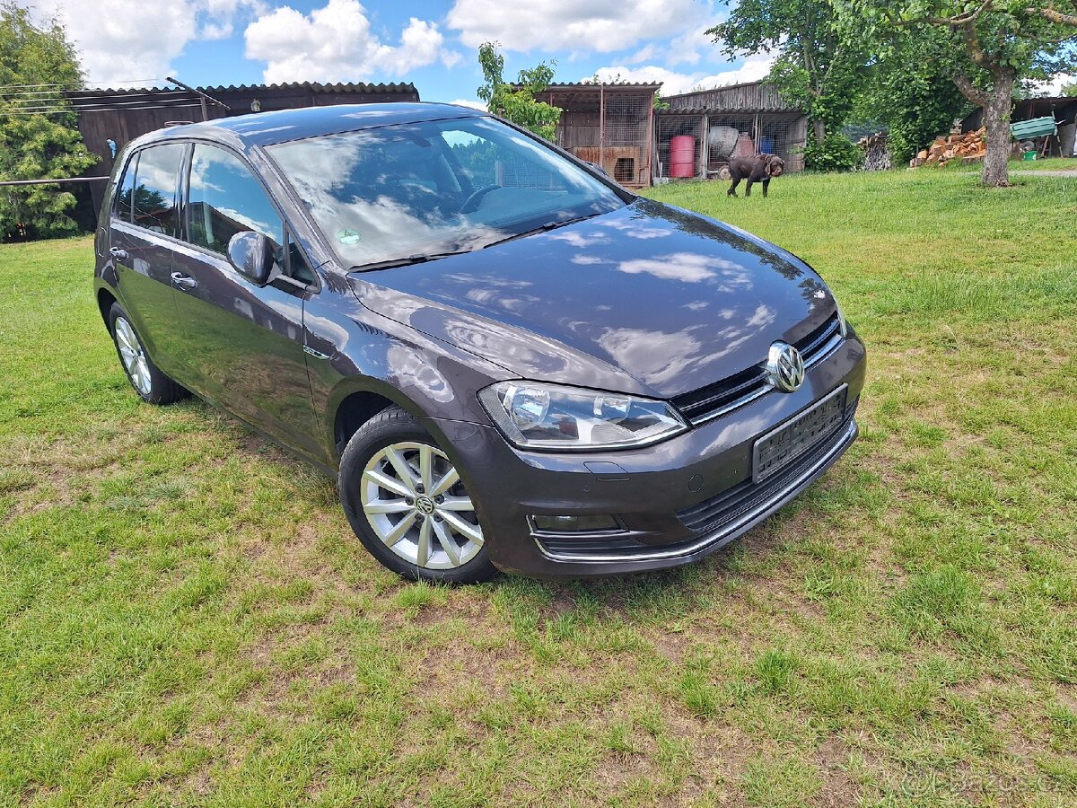 Volkswagen Golf 7 1.6 Tdi - 2