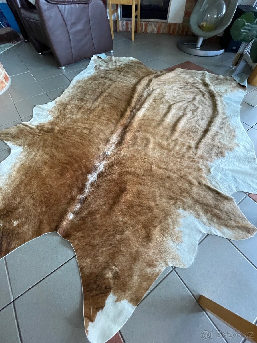 Pravá kůže z krávy - 2