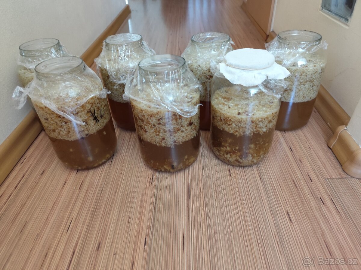 Prodám drobný přebytek letošní víčkovice z medu. - 2